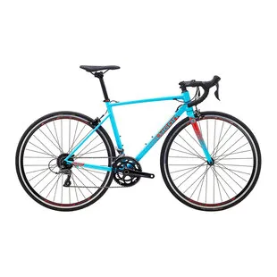 Siskiu shop d5 blue