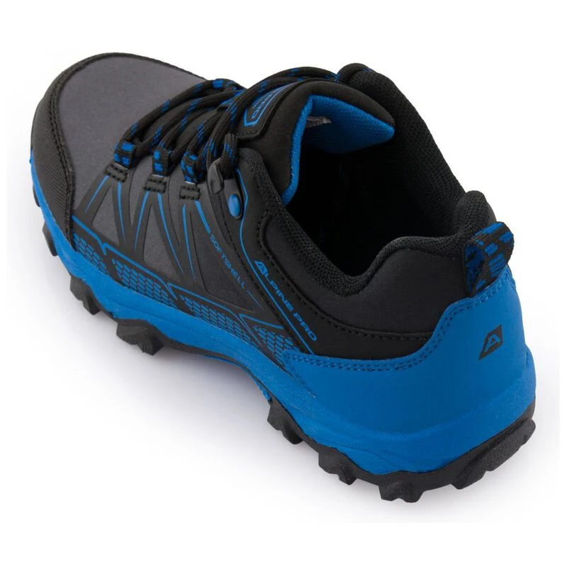 Salomon best sale alpine pro