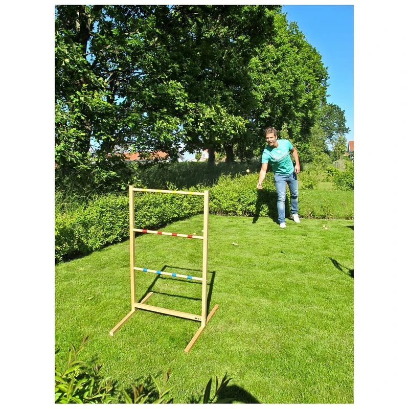 Bex Ladder Game Set