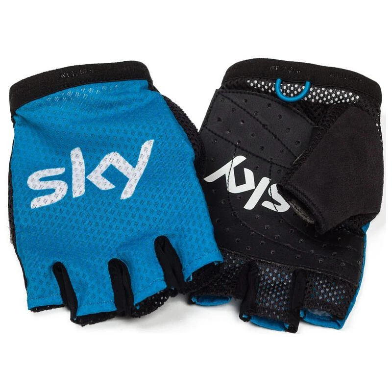 Team hot sale sky gloves