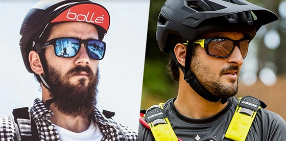 Bolle and Cebe